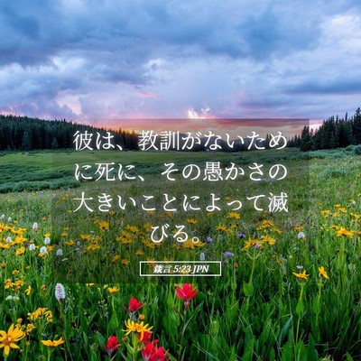 Picture 05 - 箴言 5:23 JPN - 彼は、教訓がないために死に、その - Bible Verse Picture