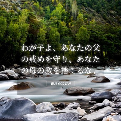Picture 05 - 箴言 6:20 JPN - わが子よ、あなたの父の戒めを守り - Bible Verse Picture