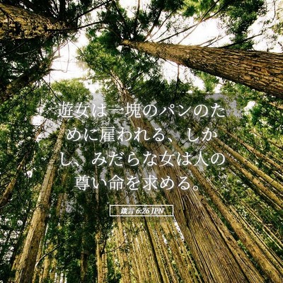 Picture 05 - 箴言 6:26 JPN - 遊女は一塊のパンのために雇われる - Bible Verse Picture