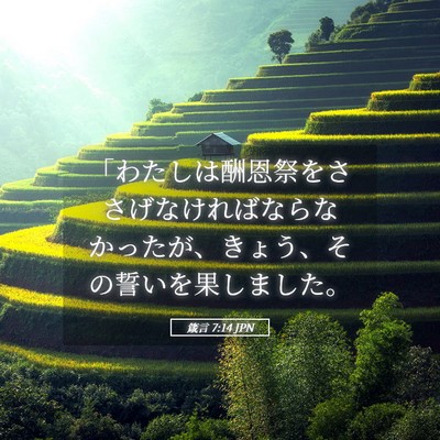 Picture 05 - 箴言 7:14 JPN - 「わたしは酬恩祭をささげなければ - Bible Verse Picture