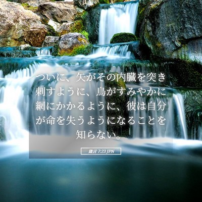 Picture 05 - 箴言 7:23 JPN - ついに、矢がその内臓を突き刺すよ - Bible Verse Picture