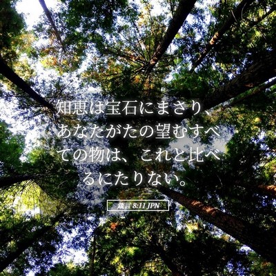 Picture 05 - 箴言 8:11 JPN - 知恵は宝石にまさり、あなたがたの - Bible Verse Picture