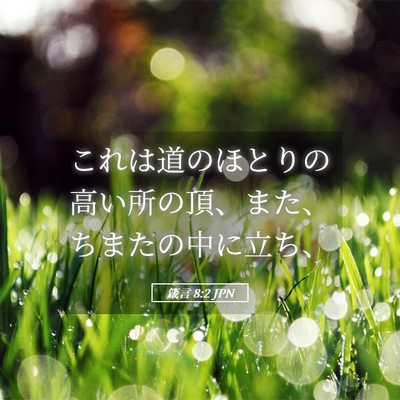 Picture 05 - 箴言 8:2 JPN - これは道のほとりの高い所の頂、ま - Bible Verse Picture