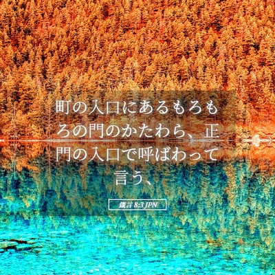 Picture 05 - 箴言 8:3 JPN - 町の入口にあるもろもろの門のかた - Bible Verse Picture