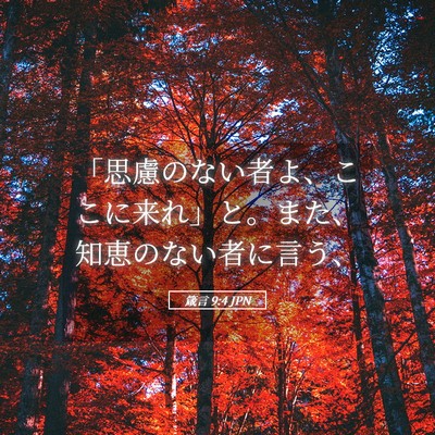 Picture 05 - 箴言 9:4 JPN - 「思慮のない者よ、ここに来れ」と - Bible Verse Picture