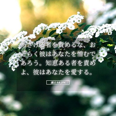 Picture 05 - 箴言 9:8 JPN - あざける者を責めるな、おそらく彼 - Bible Verse Picture