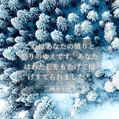 Picture 05 - 詩篇 102:10 JPN - これはあなたの憤りと怒りのゆえで - Bible Verse Picture