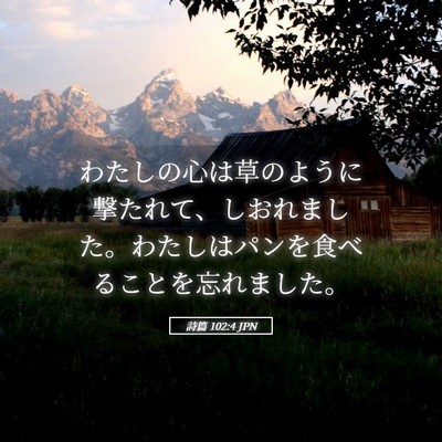 Picture 05 - 詩篇 102:4 JPN - わたしの心は草のように撃たれて、 - Bible Verse Picture