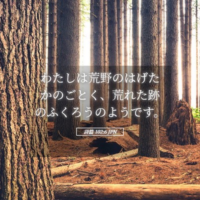 Picture 05 - 詩篇 102:6 JPN - わたしは荒野のはげたかのごとく、 - Bible Verse Picture