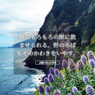 Picture 05 - 詩篇 104:11 JPN - 野のもろもろの獣に飲ませられる。 - Bible Verse Picture