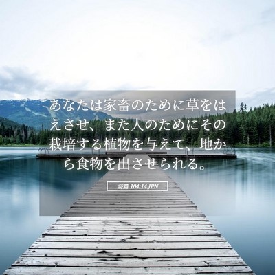 Picture 05 - 詩篇 104:14 JPN - あなたは家畜のために草をはえさせ - Bible Verse Picture