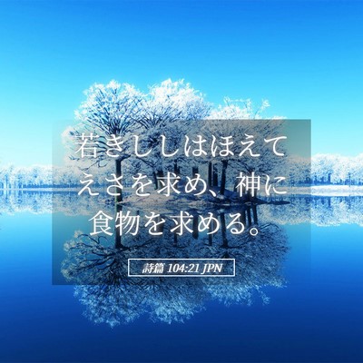 Picture 05 - 詩篇 104:21 JPN - 若きししはほえてえさを求め、神に - Bible Verse Picture