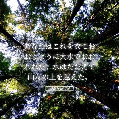 Picture 05 - 詩篇 104:6 JPN - あなたはこれを衣でおおうように大 - Bible Verse Picture