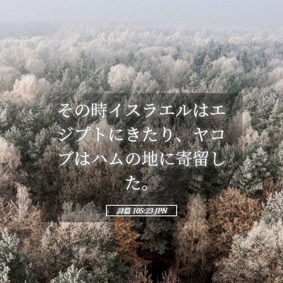 Picture 05 - 詩篇 105:23 JPN - その時イスラエルはエジプトにきた - Bible Verse Picture