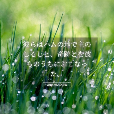 Picture 05 - 詩篇 105:27 JPN - 彼らはハムの地で主のしるしと、奇 - Bible Verse Picture