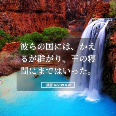 Picture 05 - 詩篇 105:30 JPN - 彼らの国には、かえるが群がり、王 - Bible Verse Picture