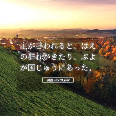 Picture 05 - 詩篇 105:31 JPN - 主が言われると、はえの群れがきた - Bible Verse Picture