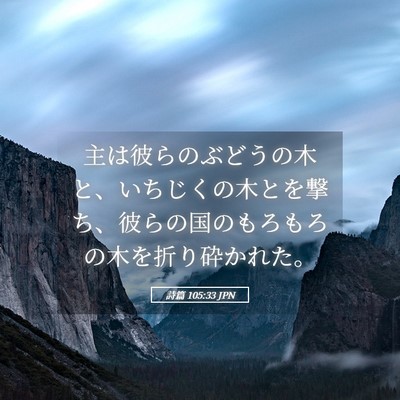 Picture 05 - 詩篇 105:33 JPN - 主は彼らのぶどうの木と、いちじく - Bible Verse Picture