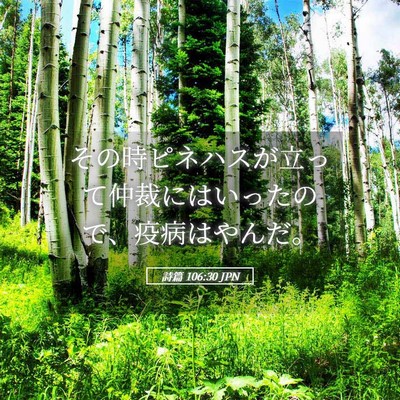 Picture 05 - 詩篇 106:30 JPN - その時ピネハスが立って仲裁にはい - Bible Verse Picture