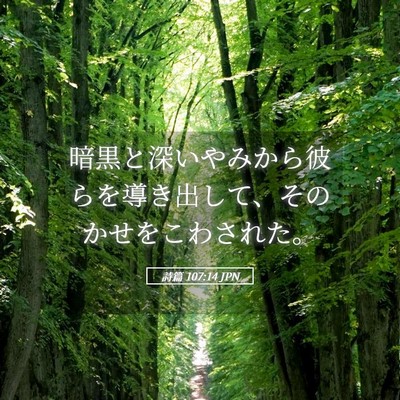 Picture 05 - 詩篇 107:14 JPN - 暗黒と深いやみから彼らを導き出し - Bible Verse Picture