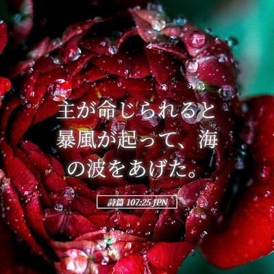 Picture 05 - 詩篇 107:25 JPN - 主が命じられると暴風が起って、海 - Bible Verse Picture