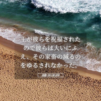 Picture 05 - 詩篇 107:38 JPN - 主が彼らを祝福されたので彼らは大 - Bible Verse Picture