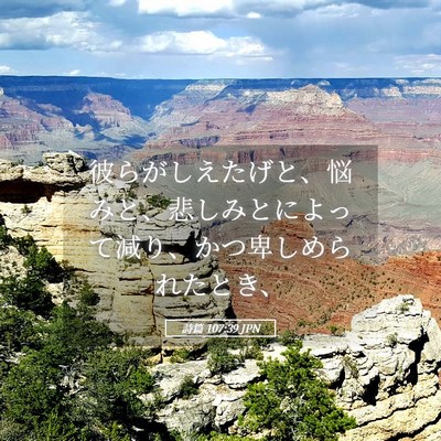 Picture 05 - 詩篇 107:39 JPN - 彼らがしえたげと、悩みと、悲しみ - Bible Verse Picture