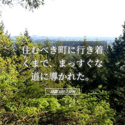 Picture 05 - 詩篇 107:7 JPN - 住むべき町に行き着くまで、まっす - Bible Verse Picture