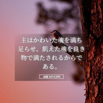 Picture 05 - 詩篇 107:9 JPN - 主はかわいた魂を満ち足らせ、飢え - Bible Verse Picture