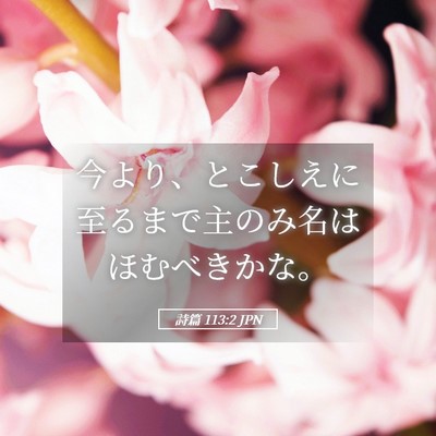 Picture 05 - 詩篇 113:2 JPN - 今より、とこしえに至るまで主のみ - Bible Verse Picture