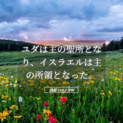Picture 05 - 詩篇 114:2 JPN - ユダは主の聖所となり、イスラエル - Bible Verse Picture