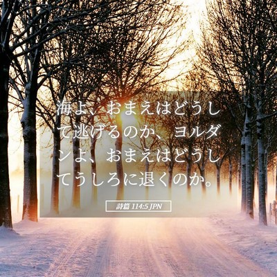 Picture 05 - 詩篇 114:5 JPN - 海よ、おまえはどうして逃げるのか - Bible Verse Picture