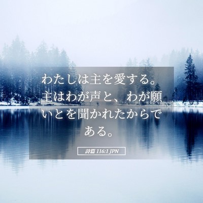 Picture 05 - 詩篇 116:1 JPN - わたしは主を愛する。主はわが声と - Bible Verse Picture