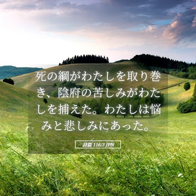 Picture 05 - 詩篇 116:3 JPN - 死の綱がわたしを取り巻き、陰府の - Bible Verse Picture