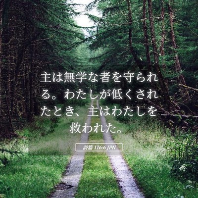 Picture 05 - 詩篇 116:6 JPN - 主は無学な者を守られる。わたしが - Bible Verse Picture