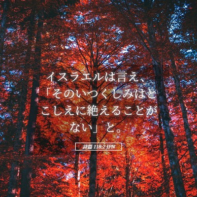 Picture 05 - 詩篇 118:2 JPN - イスラエルは言え、「そのいつくし - Bible Verse Picture
