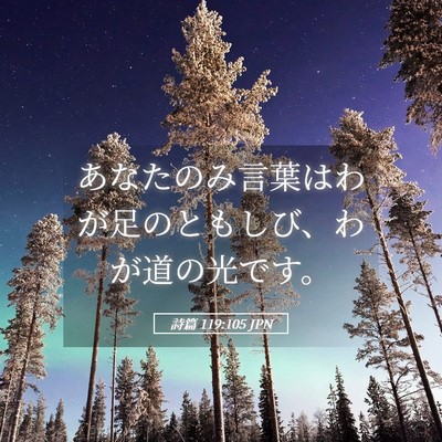 Picture 05 - 詩篇 119:105 JPN - あなたのみ言葉はわが足のともしび - Bible Verse Picture