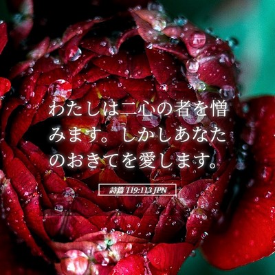 Picture 05 - 詩篇 119:113 JPN - わたしは二心の者を憎みます。しか - Bible Verse Picture