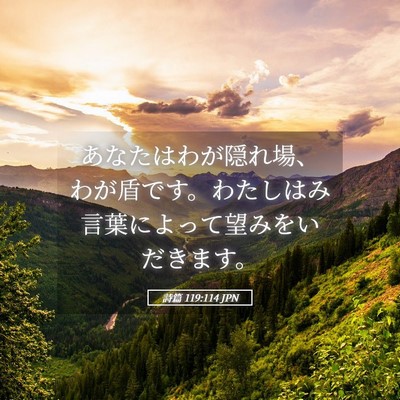 Picture 05 - 詩篇 119:114 JPN - あなたはわが隠れ場、わが盾です。 - Bible Verse Picture