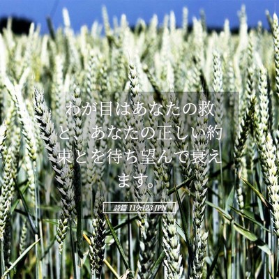 Picture 05 - 詩篇 119:123 JPN - わが目はあなたの救と、あなたの正 - Bible Verse Picture
