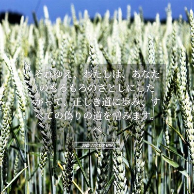 Picture 05 - 詩篇 119:128 JPN - それゆえ、わたしは、あなたのもろ - Bible Verse Picture
