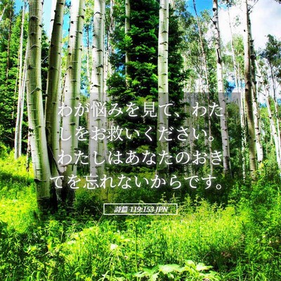 Picture 05 - 詩篇 119:153 JPN - わが悩みを見て、わたしをお救いく - Bible Verse Picture