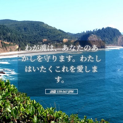 Picture 05 - 詩篇 119:167 JPN - わが魂は、あなたのあかしを守りま - Bible Verse Picture