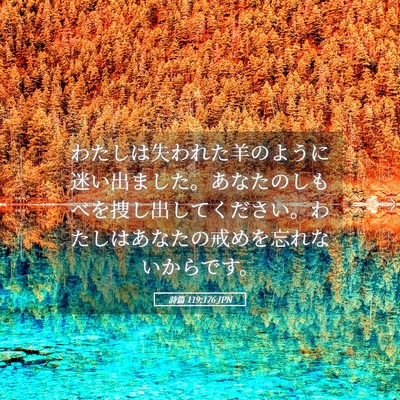 Picture 05 - 詩篇 119:176 JPN - わたしは失われた羊のように迷い出 - Bible Verse Picture