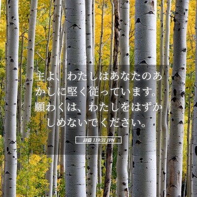 Picture 05 - 詩篇 119:31 JPN - 主よ、わたしはあなたのあかしに堅 - Bible Verse Picture