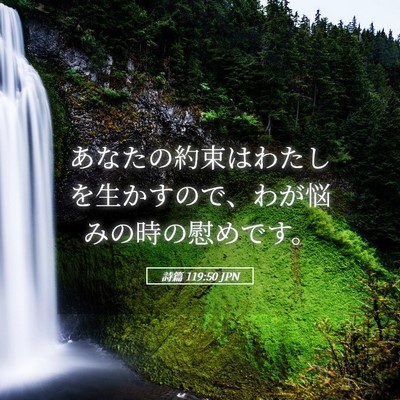 Picture 05 - 詩篇 119:50 JPN - あなたの約束はわたしを生かすので - Bible Verse Picture