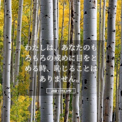 Picture 05 - 詩篇 119:6 JPN - わたしは、あなたのもろもろの戒め - Bible Verse Picture
