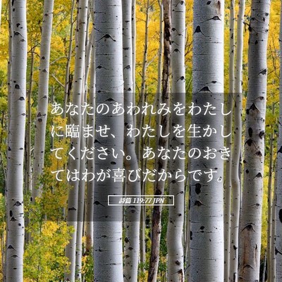 Picture 05 - 詩篇 119:77 JPN - あなたのあわれみをわたしに臨ませ - Bible Verse Picture