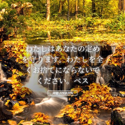 Picture 05 - 詩篇 119:8 JPN - わたしはあなたの定めを守ります。 - Bible Verse Picture