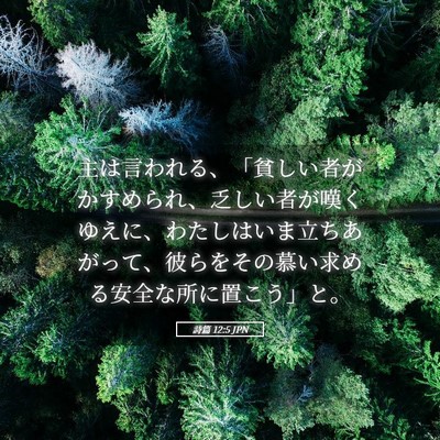 Picture 05 - 詩篇 12:5 JPN - 主は言われる、「貧しい者がかすめ - Bible Verse Picture